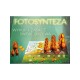 Fotosynteza
