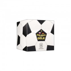 Polska, gola! (Polska - Niemcy)
