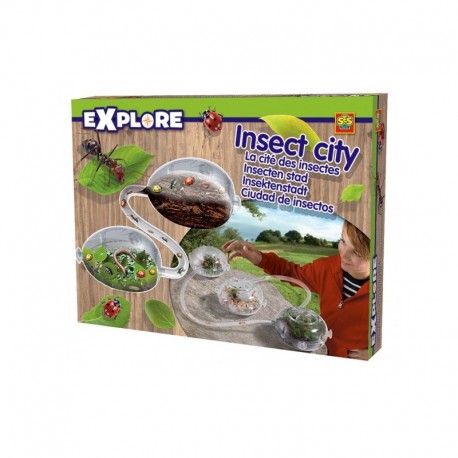 Mrówkarium - miasto owadów