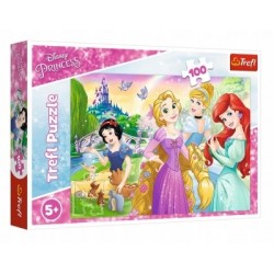 Puzzle 100 - Princess