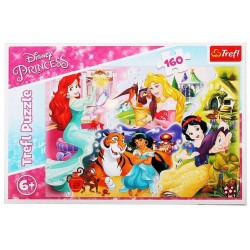 Puzzle 160 - Księżniczki i przyjaciele