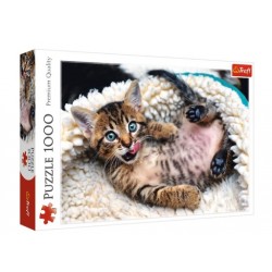 Puzzle 1000 - Wesoły kotek