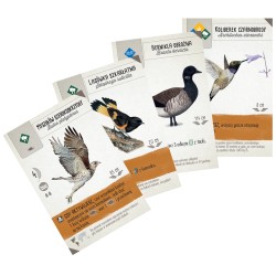 Na skrzydłach: Szybki start