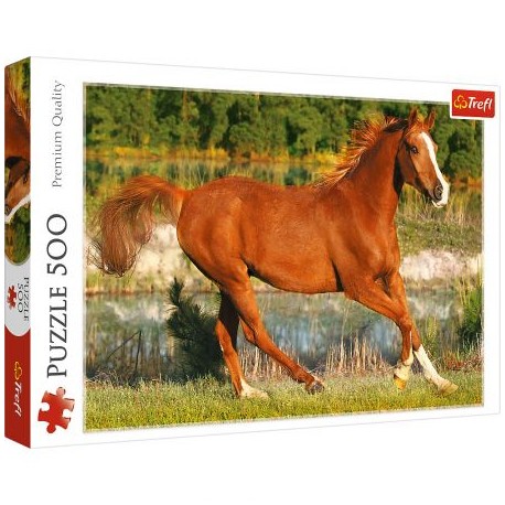 Puzzle 500 - Piękno galopu