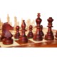 Szachy Turniejowe nr 5 - Caissa