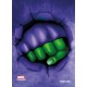 Gamegenic: MC Sleeves (66 mm x 91 mm) She-Hulk 50+