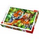 Puzzle 1500 Dwa tygrysy