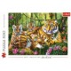 Puzzle 500 - Rodzina tygrysów